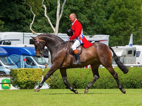 2017 British Horse Society Supreme Horse Championship 