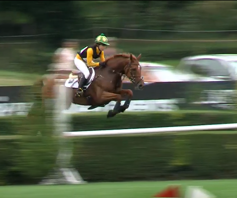 2019 MS Amlin Plus Eventers' Challenge - Nicky Hill and Kilrodan Sailorette