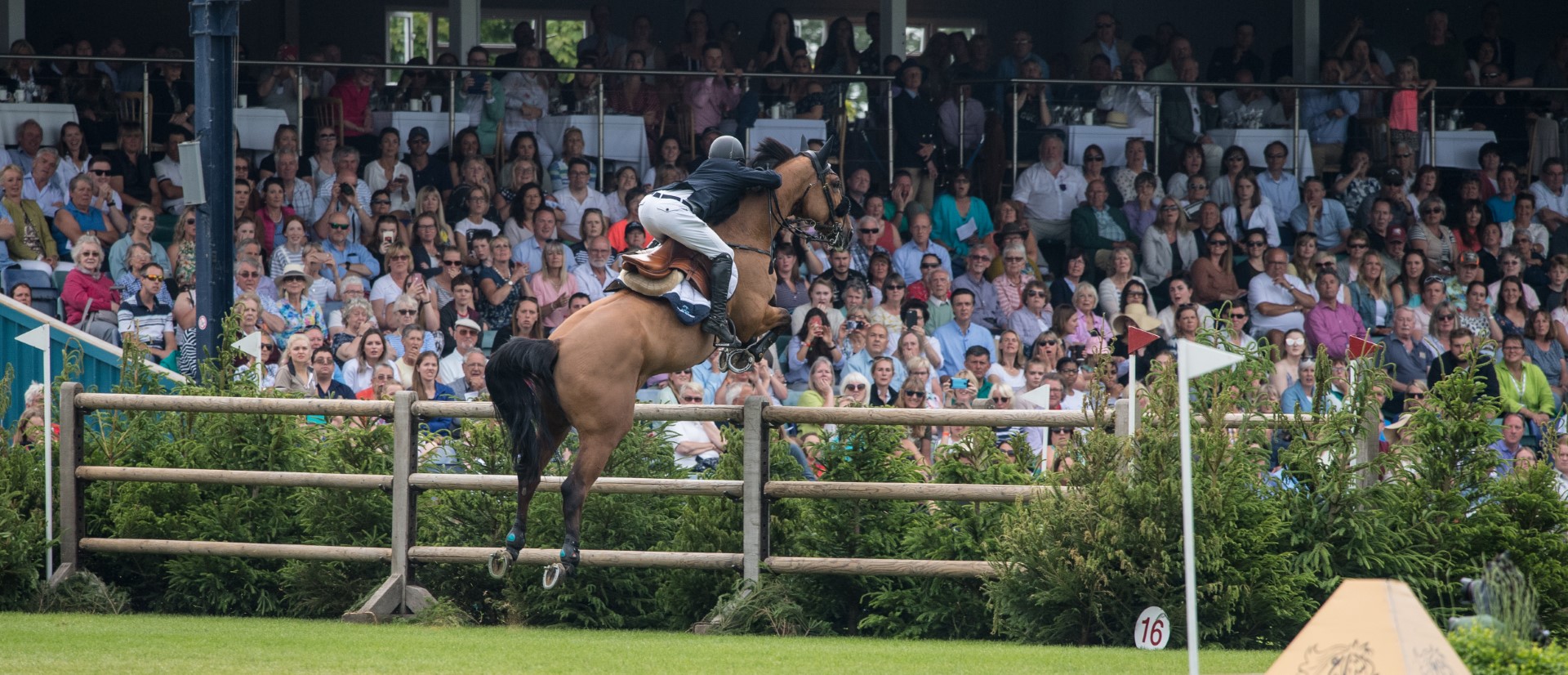 The British Jumping Derby - Watch the full class