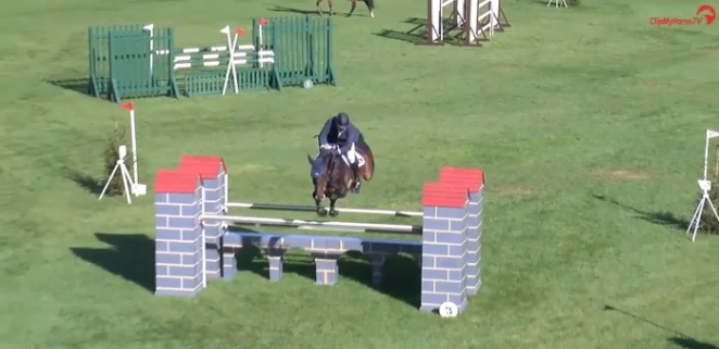 Al Shira'aa Seven Year Old Championship