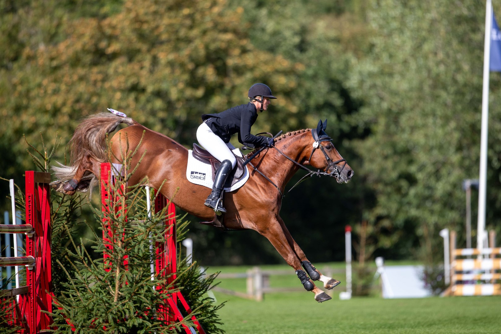  Science Supplements All England Grand Prix winning round 