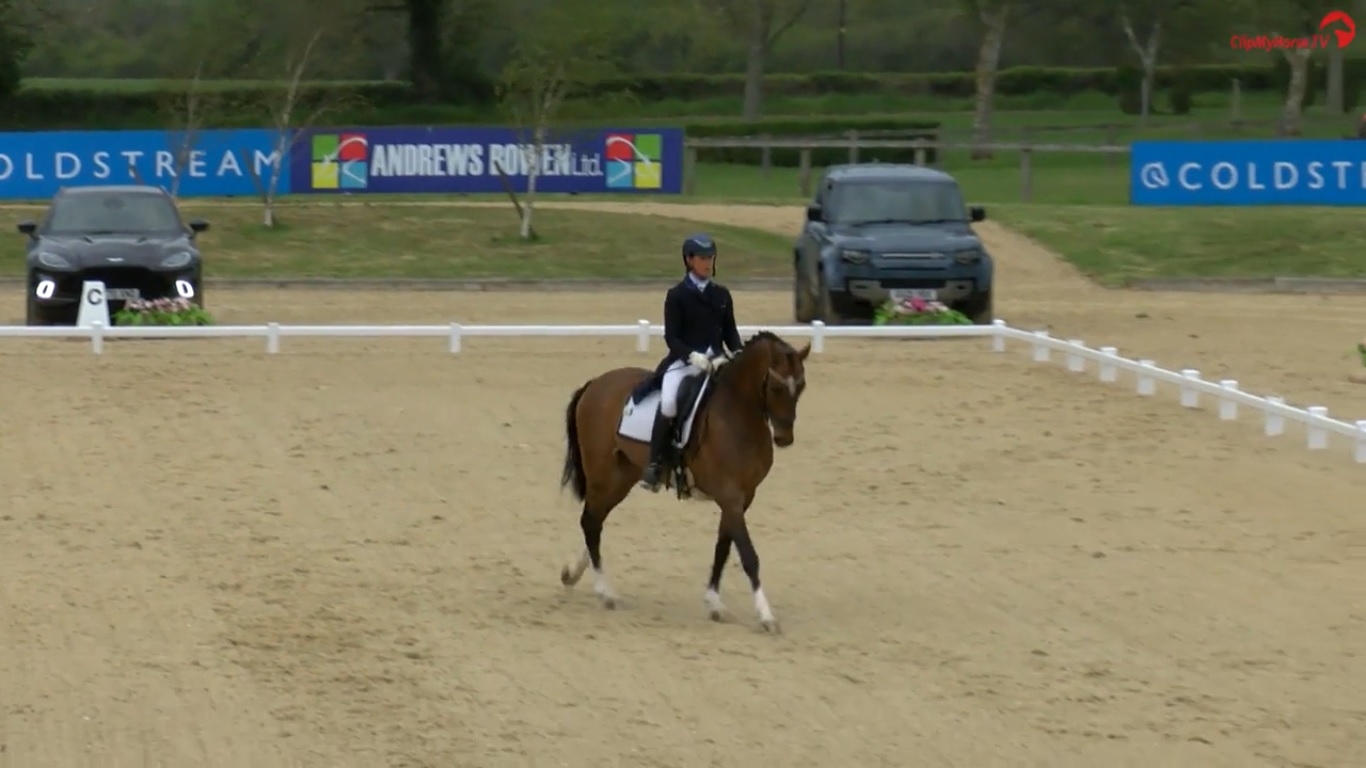  Fairfax Saddles Premier League FEI Prix St Georges