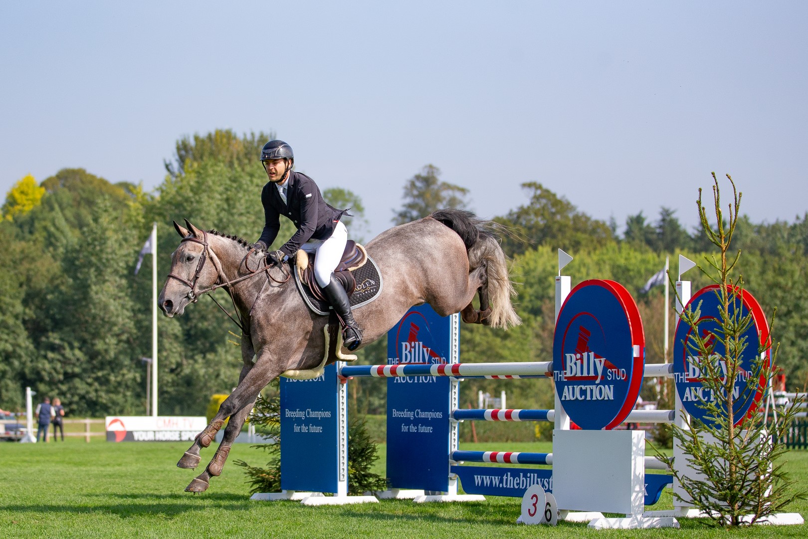 The Billy Stud Auction Novice Championship