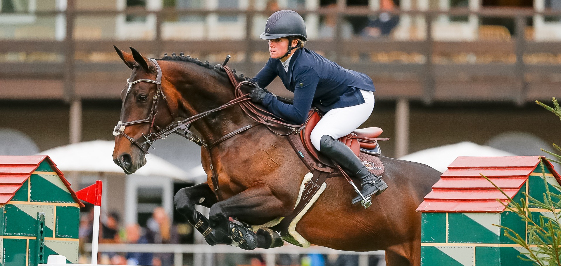 The Science Supplements All England 1.40m Open - Friday week two