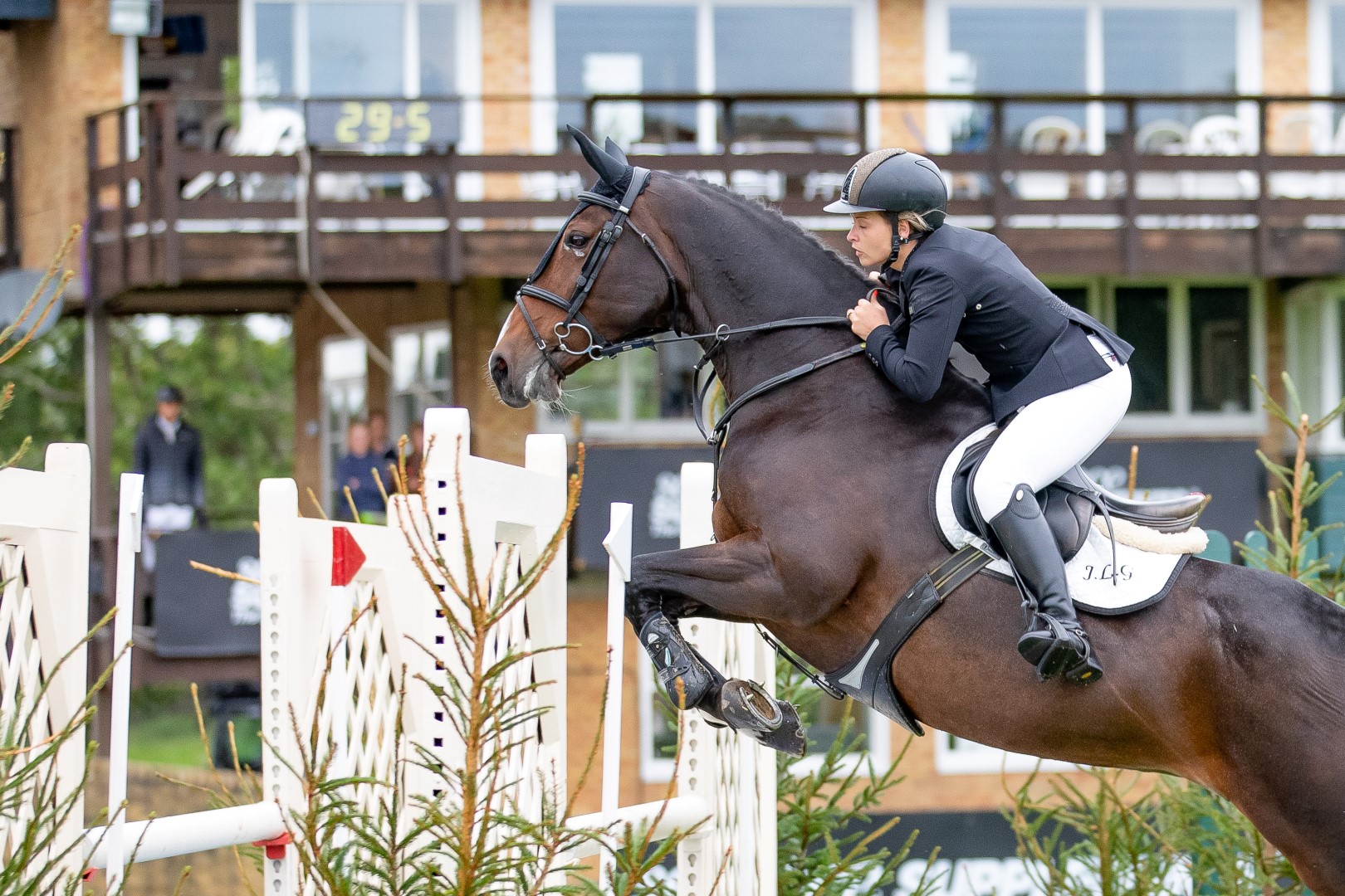 The HY Equestrian All England 1.10m Amateur Championship