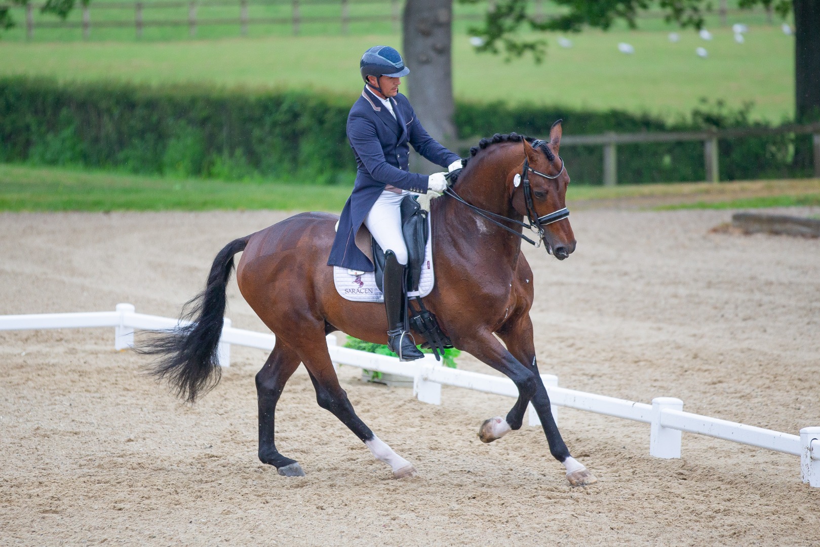 Andrew Gould & Genie - I.C.E. Horseboxes FEI Grand Prix Special 2014