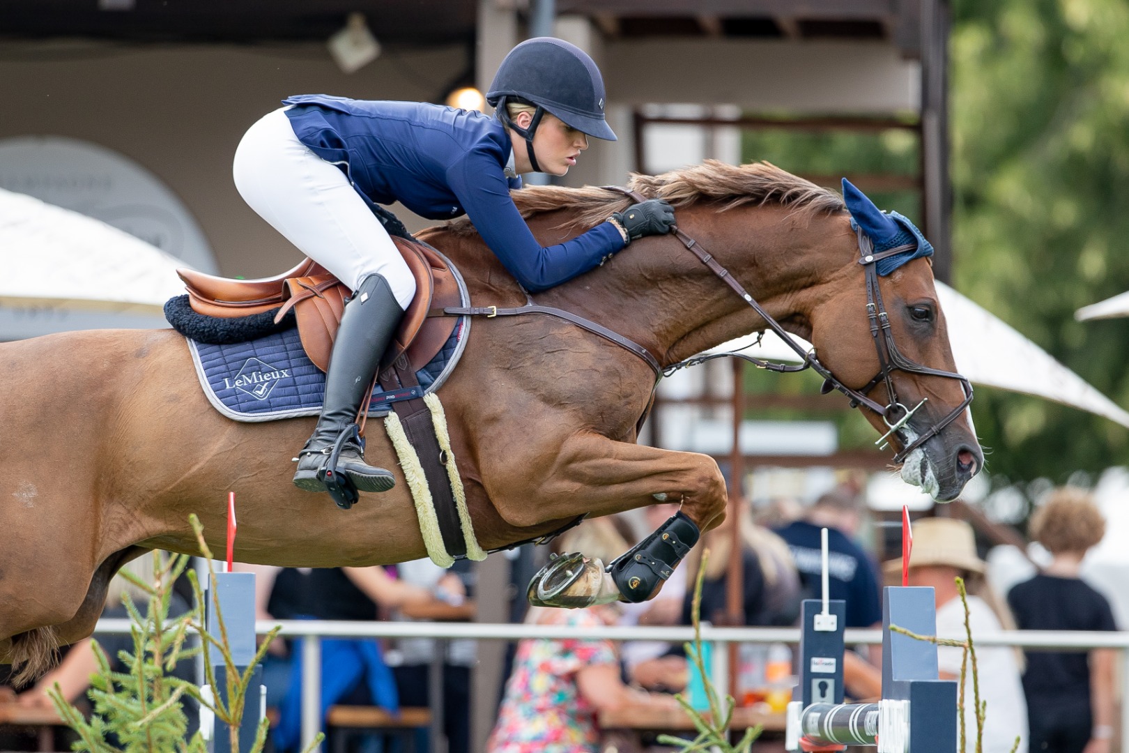 Queen Elizabeth II Cup - Watch the full class