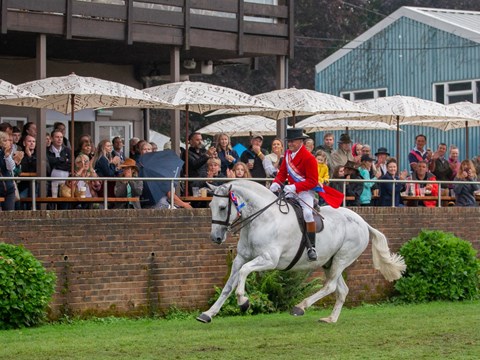 2021 British Horse Society Supreme Horse Championship