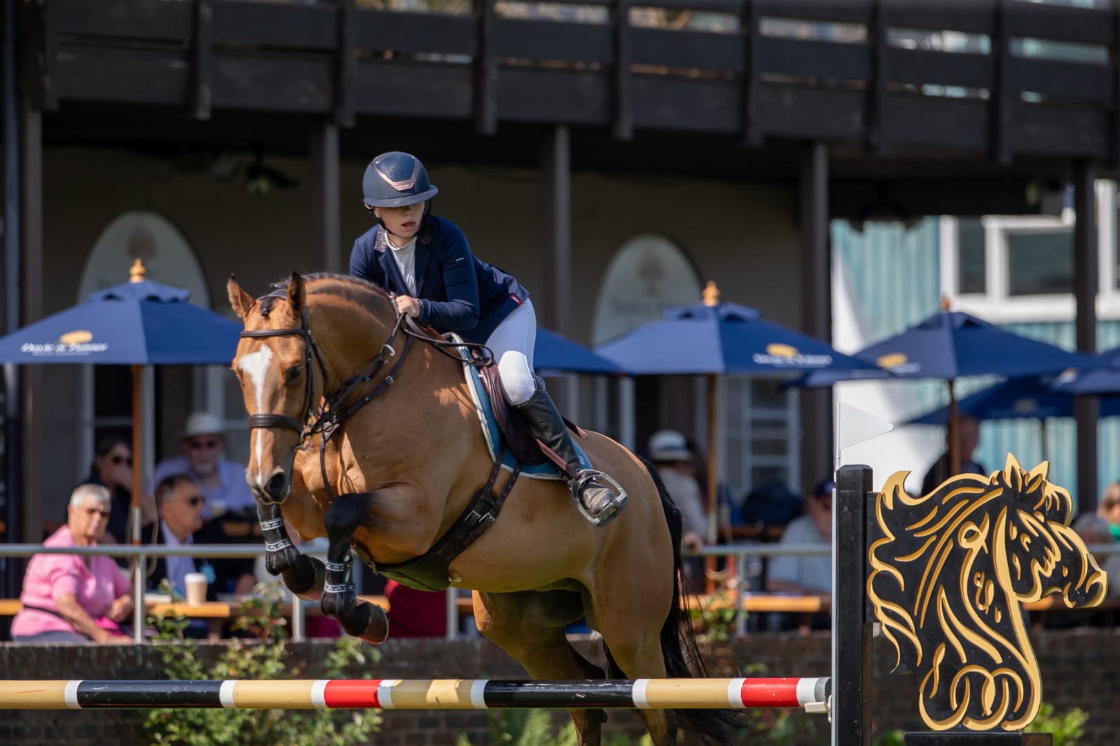 Hickstead Novice 1.10m Championship - Daisy Lewis & Maserati T.V.