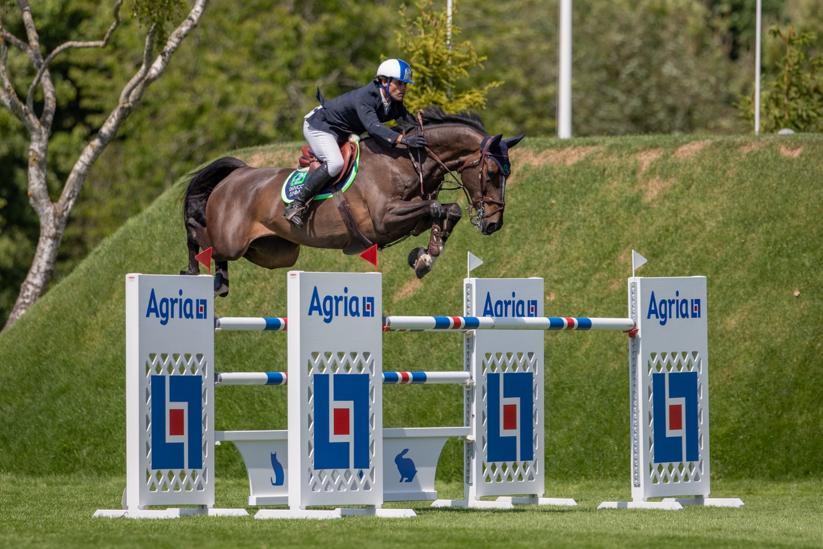 Agria Derby Trial - Carlos Ribas & Trix