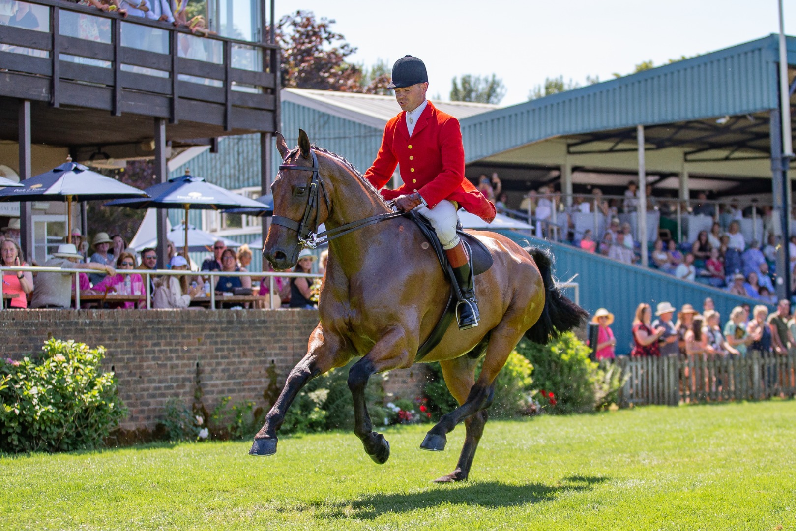 Supreme Hunter Championship - Will Morton & Kilcarna Brilliant