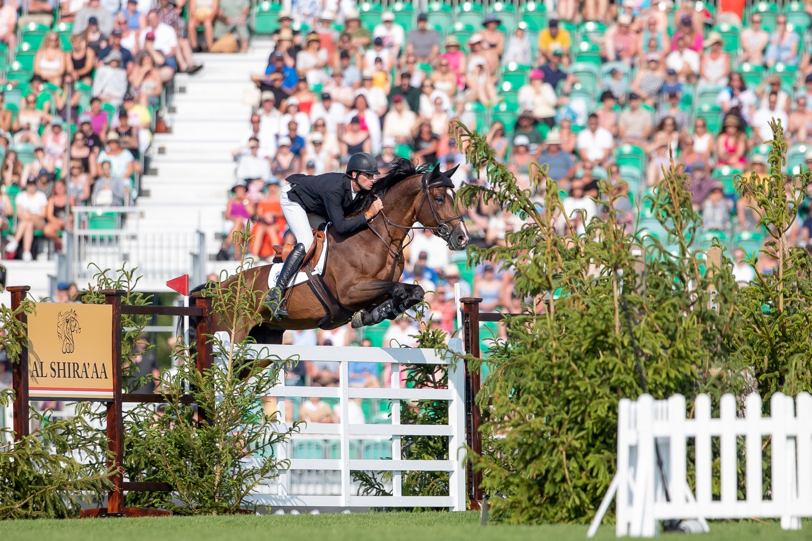 David Simpson & Pjotr Van De Kruishoeve - Derby first round