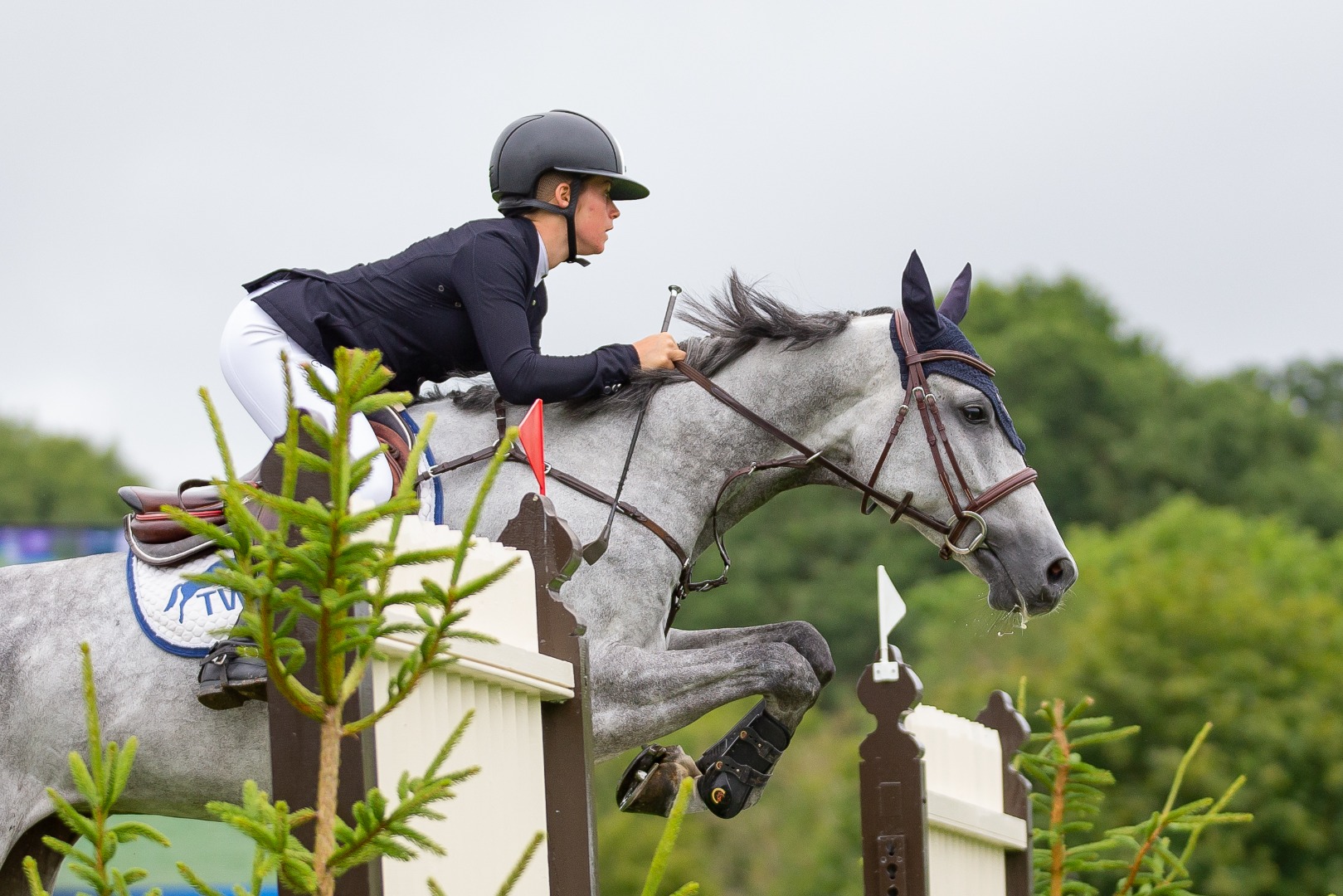 Clipmyhorse.tv CSIYH1* 2nd Qualifier 2023 - Nicole Lockhead Anderson & Conthargo PS