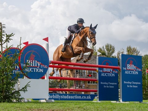 Lottie Tutt & Billy Dynamite - The Billy Stud Auction 6 Year Old Star Of The Future