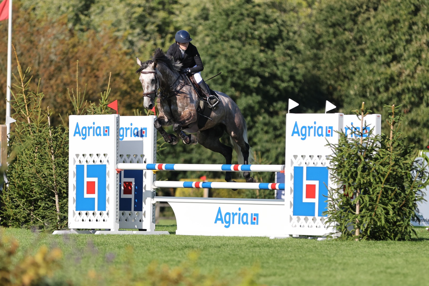  Jessica Guy & Carrick Quidams Lilly - The Spidge Photography 1.00m Open Championship