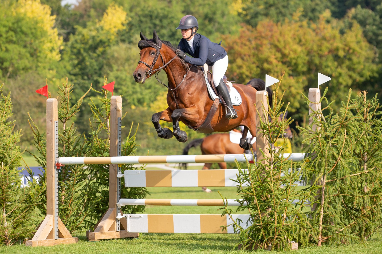 Nicole Pavitt & Azalea 16 - The All England Novice Championship