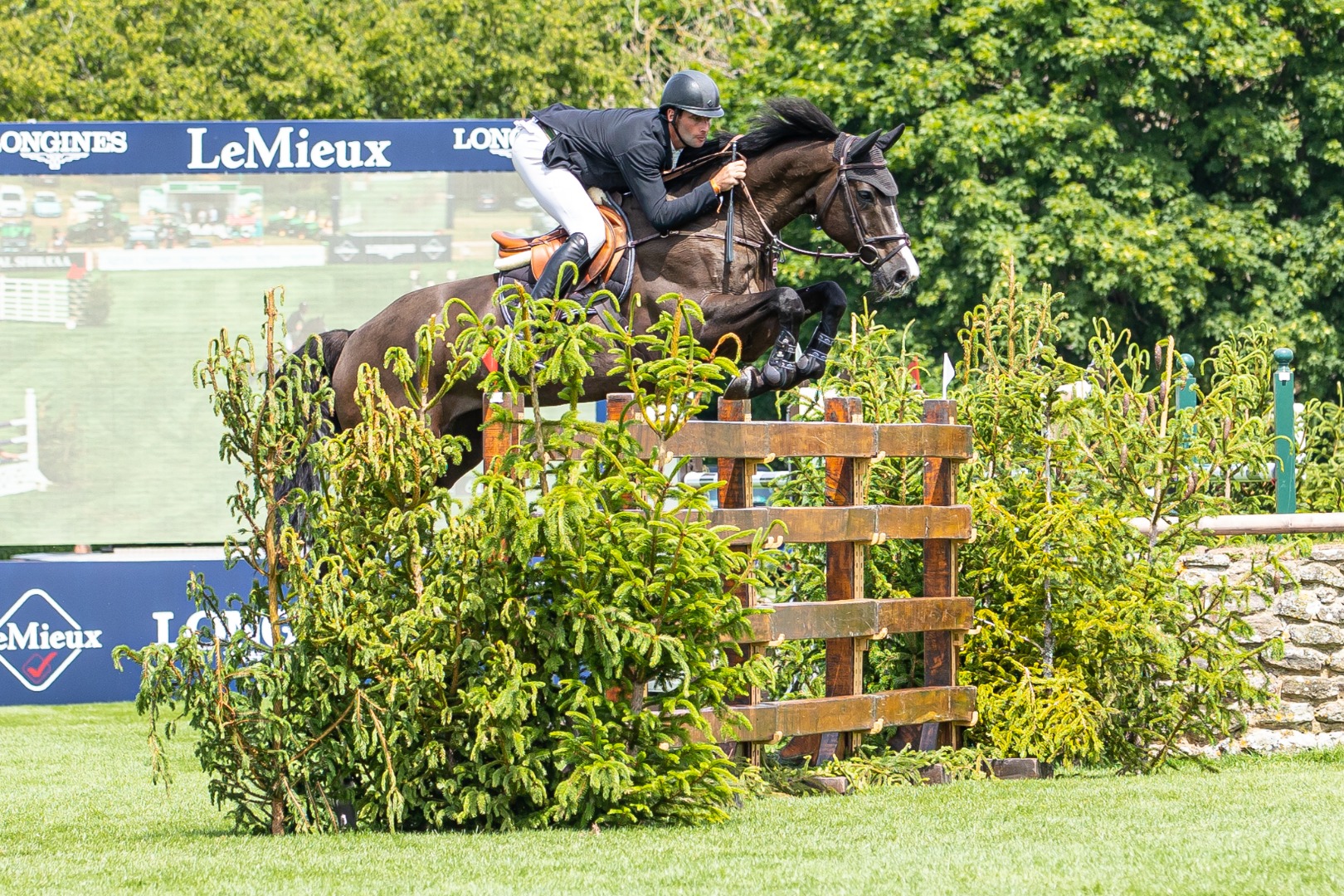 Agria Derby Trial - Full Class