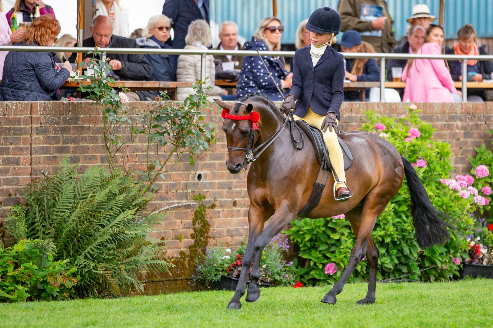 Supreme Products Supreme Ridden Pony Championship 2023
