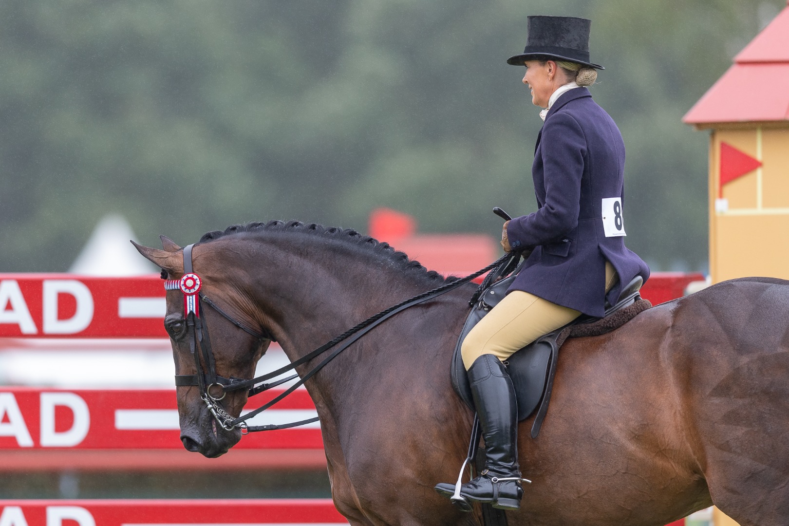 Barberstown Castle Supreme Ridden Horse Championship 2023