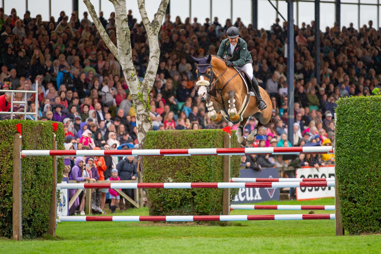 Longines King George V Gold Cup 2023