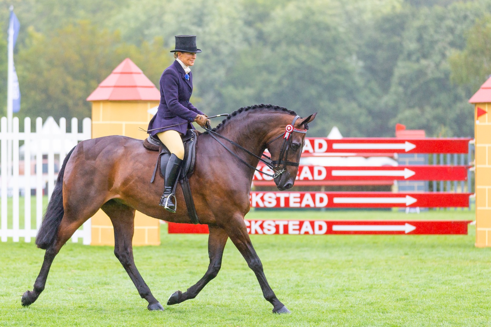 2023 Barberstown Castle Supreme Ridden Horse Championship