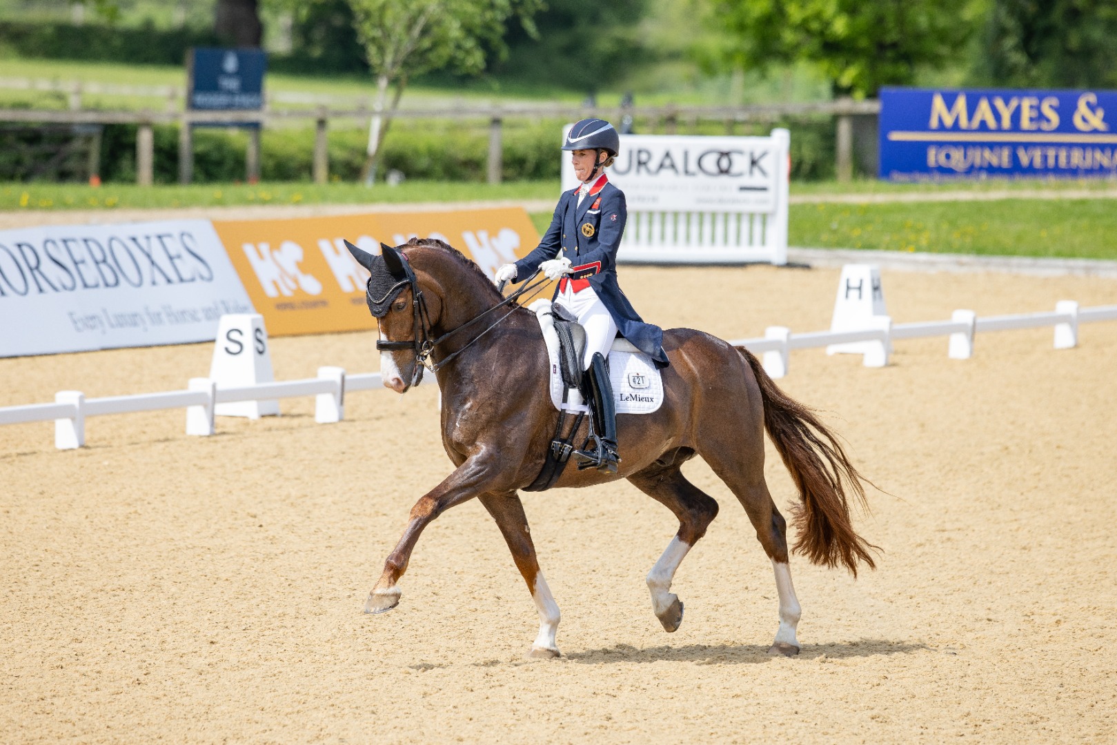 Charlotte Dujardin & Imhotep - Grand Prix Special