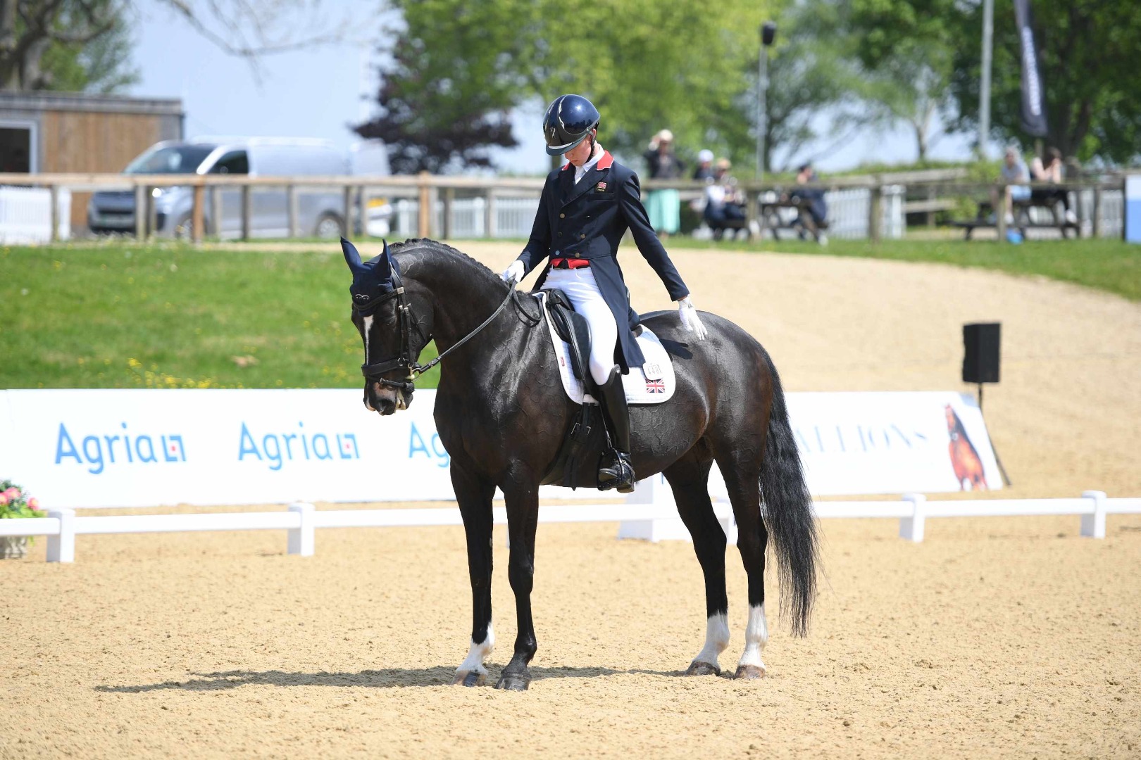 Myles Graham & Nibley Union Hit - ICE Horseboxes CDI Juniors