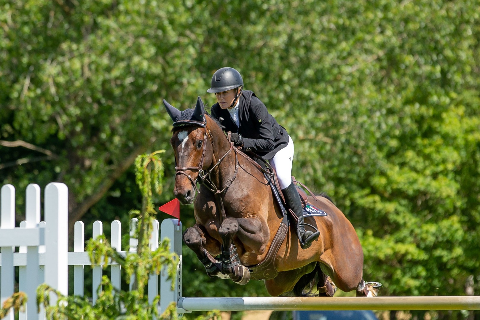 The Breen Equestrian Beethoven 7 & 8 Year Olds - Laura Renwick & Marseille