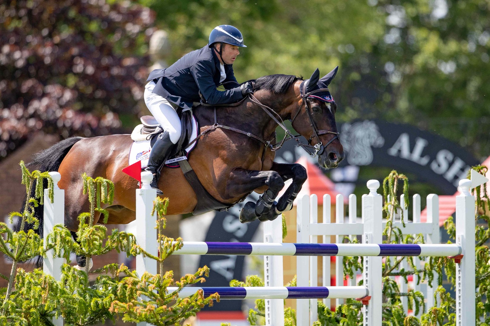 Robert Whitaker & Evert - Agria Derby Trial