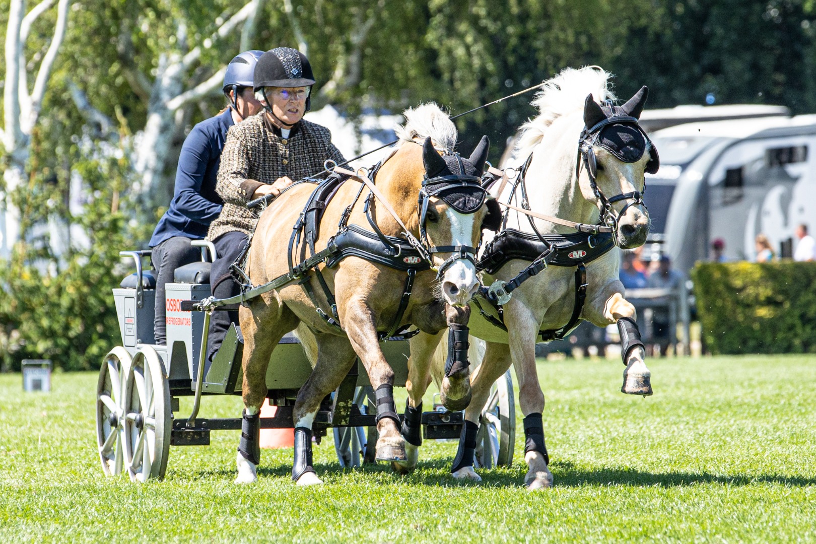 Osborne Refrigerators Double Harness Scurry - Osborne Refrigerators Woody & Buzz