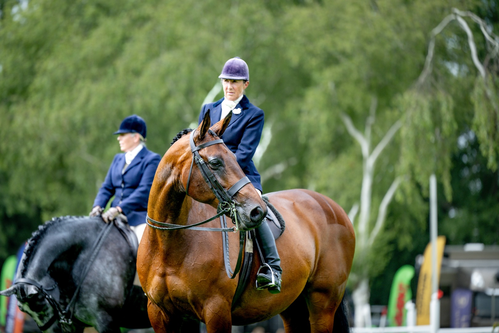 Saturday afternoon highlights