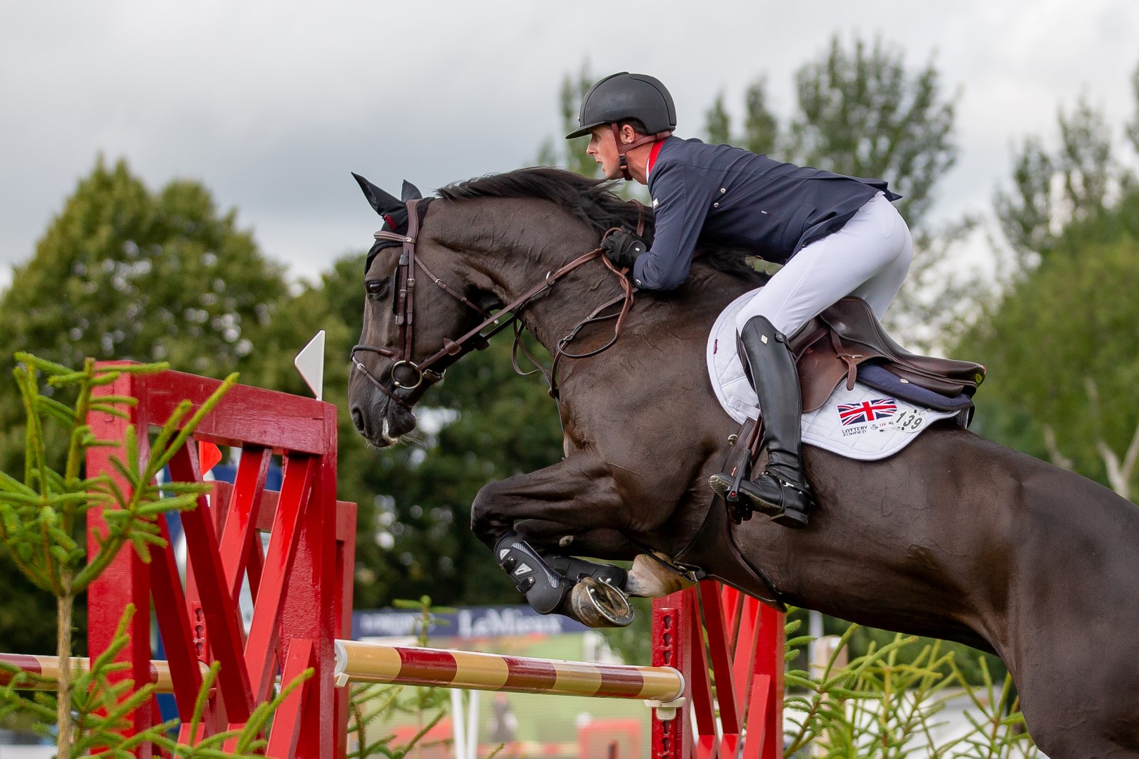 Preview: The Agria Royal International Horse Show 
