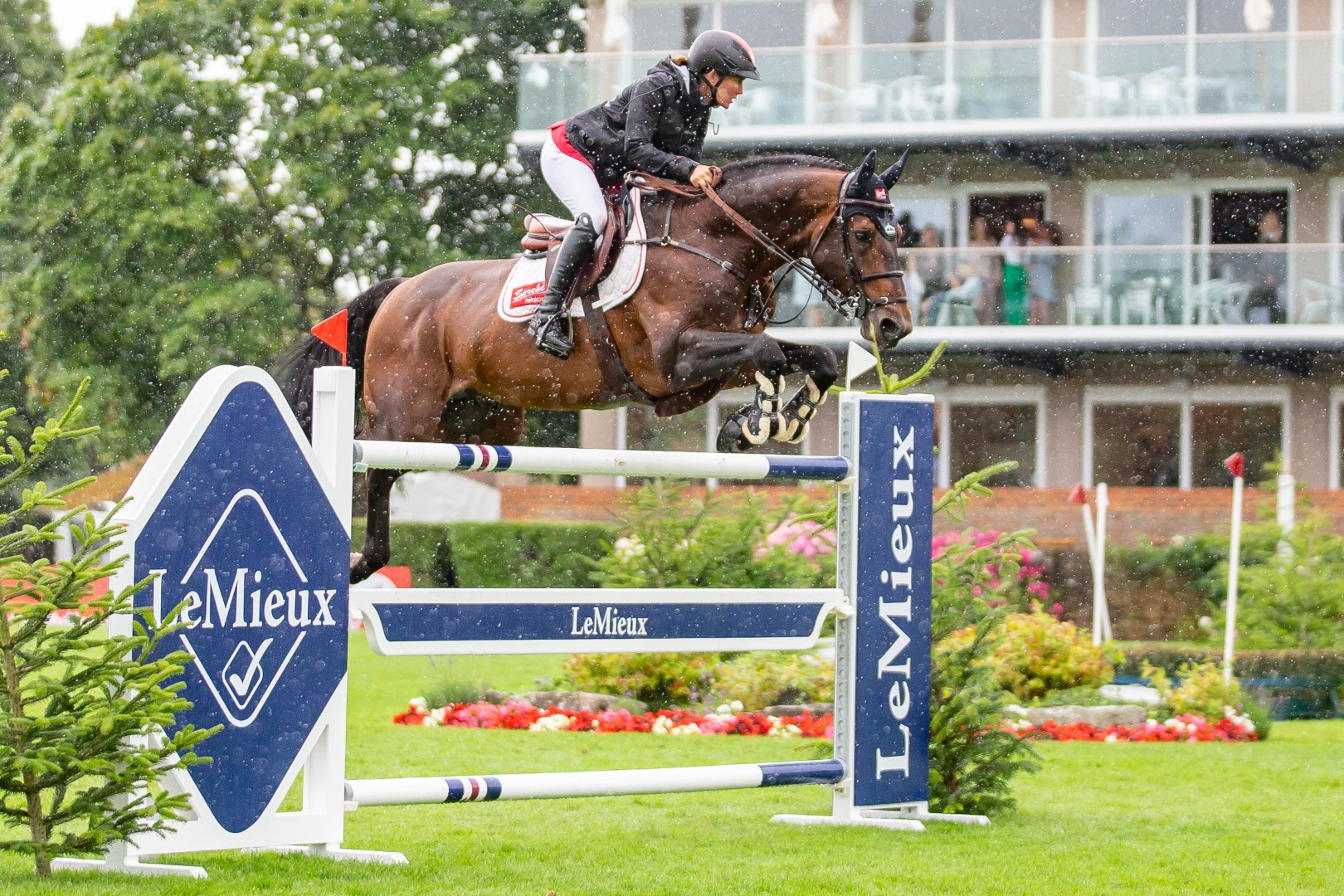 Jörne Sprehe & Toys - ClipMyHorse.TV Trophy