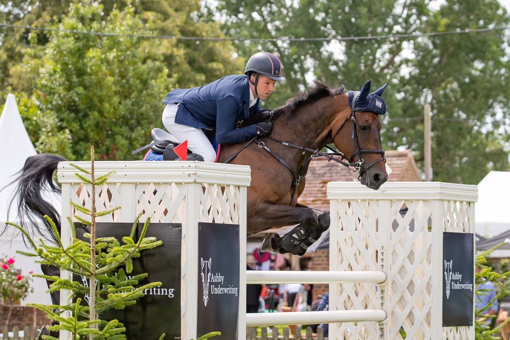 Mark Edwards & Royale Tale - Equine Giveaways Royal International Stakes