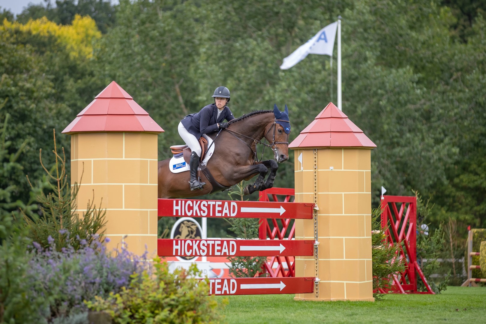 Seven Year Old Star of the Future