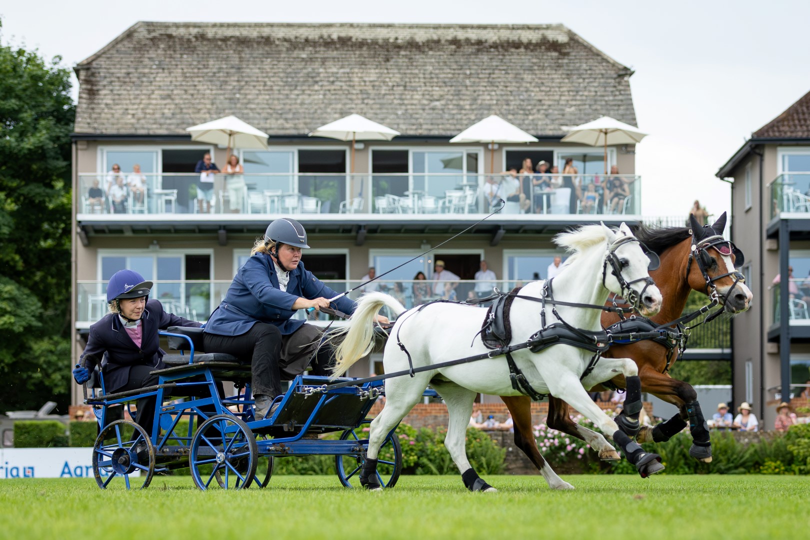 Osborne Refrigerators Scurry Driving and Agria Hunter Championship Highlights 2025