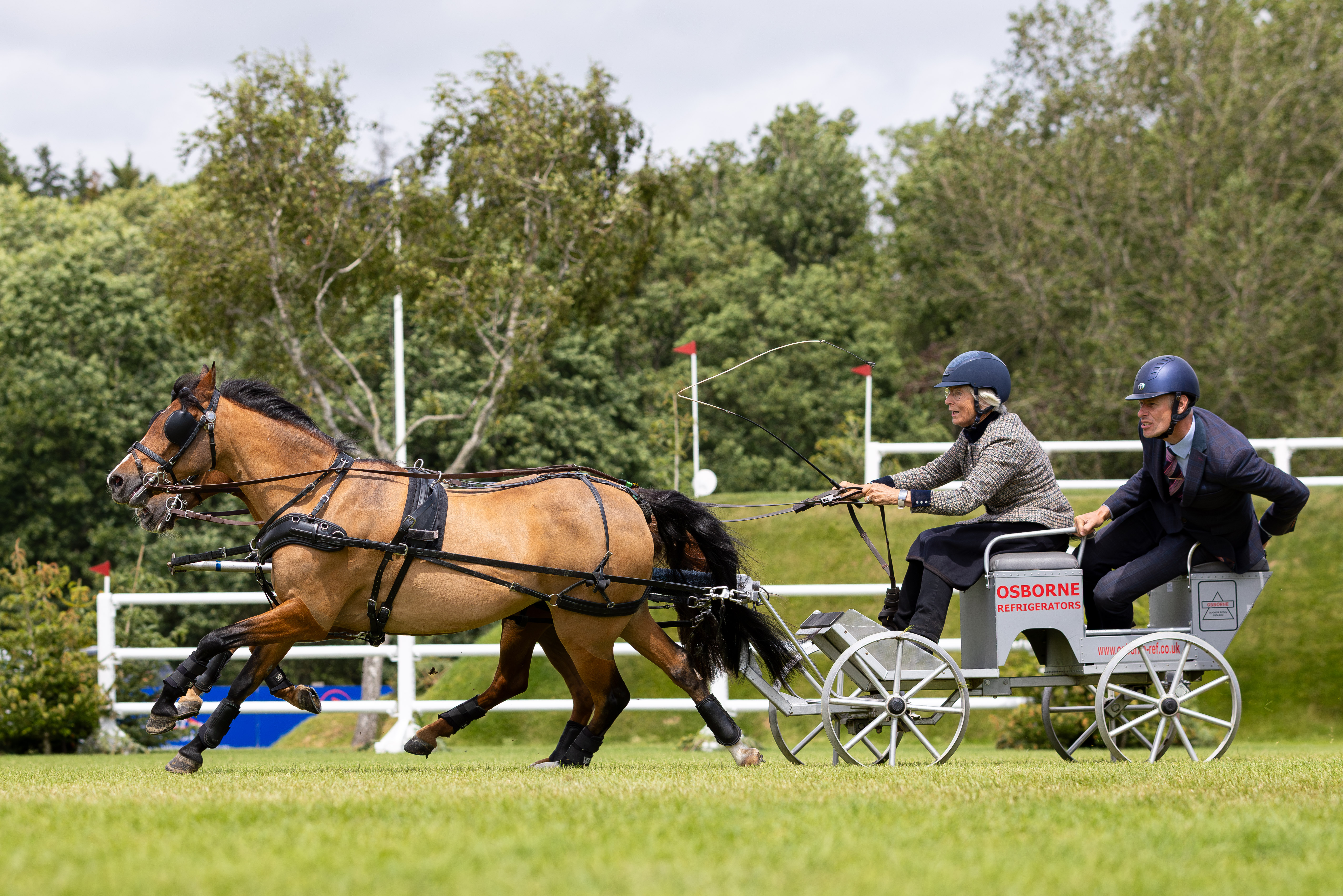 The Osborne Refrigerators Double Harness Scurry Winner 2025