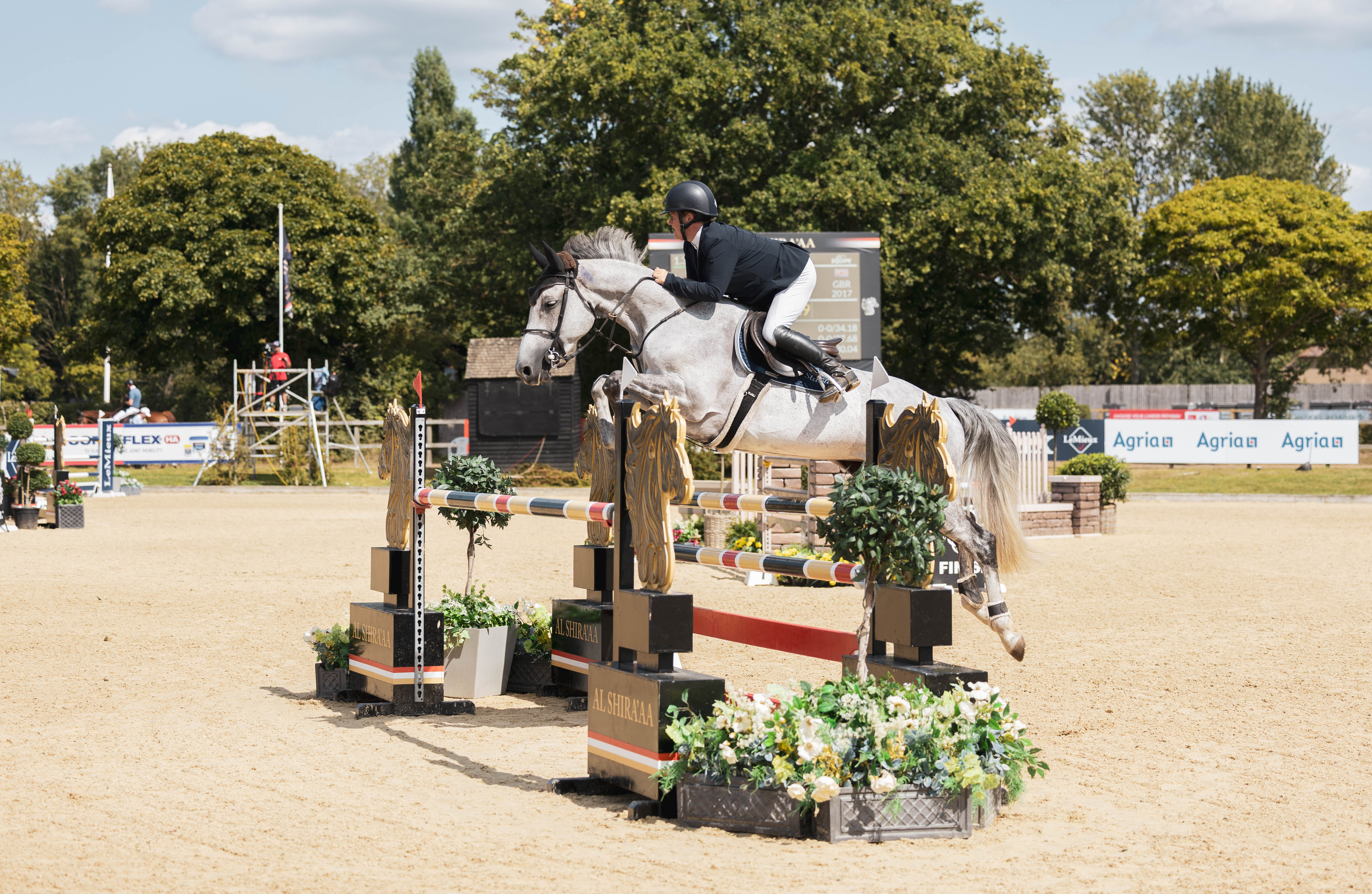 The Al Shira'aa British Young Horse Championships 