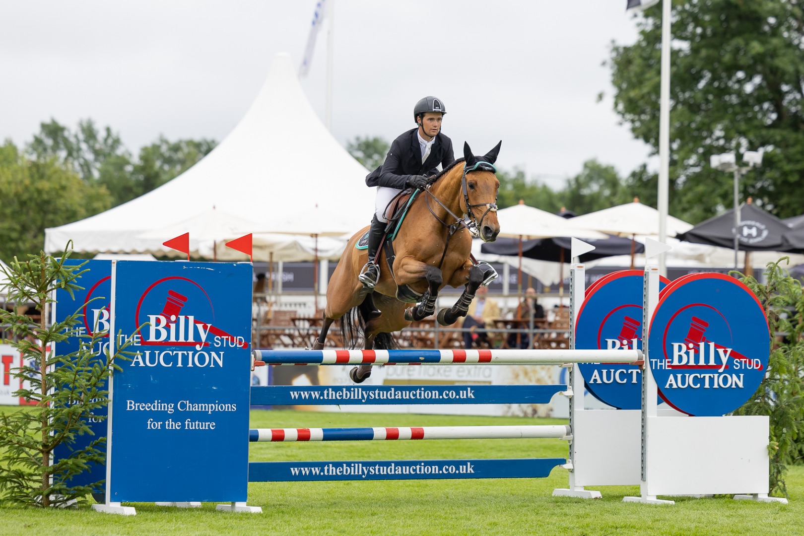 Billy Stud Five Year Old Jumping Championship