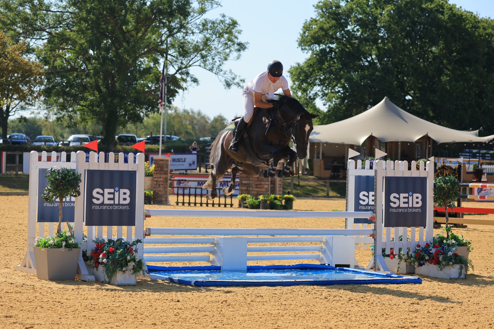 SEIB British 6 Year Old Championship (1st Qualifier)