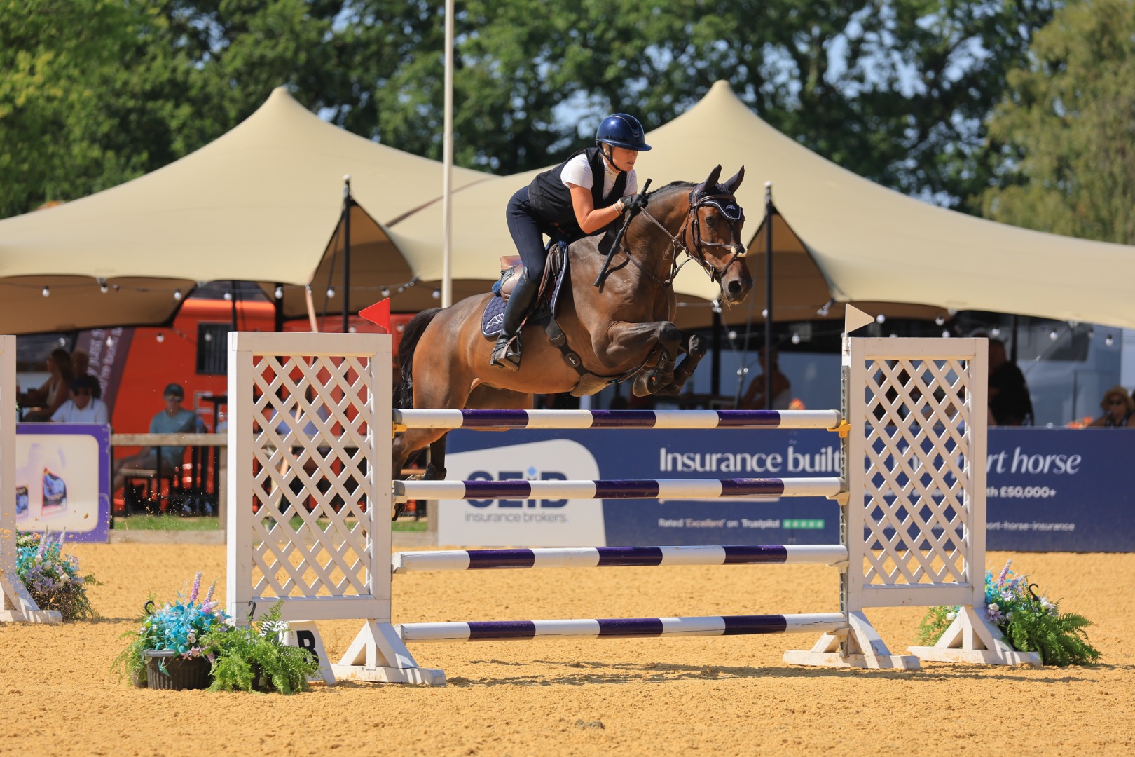 Breen Equestrian British 7 Year Old Championship (1st Qualifier)