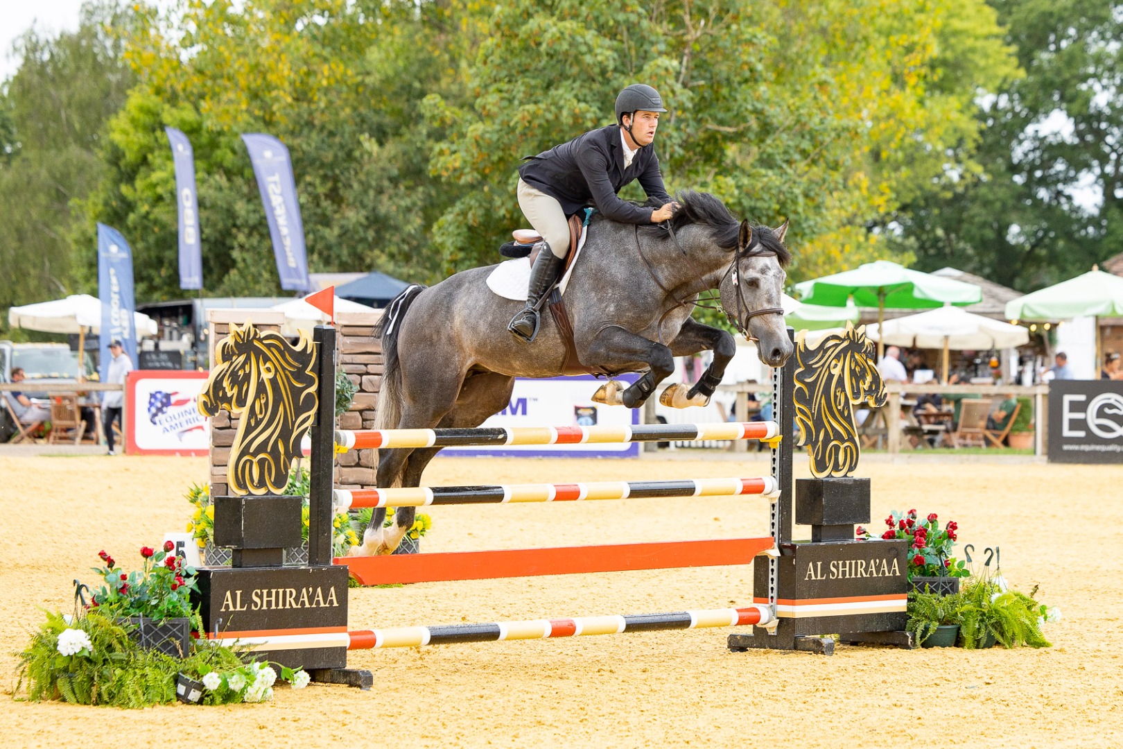 Al Shira'aa British 5 Year Old Championship