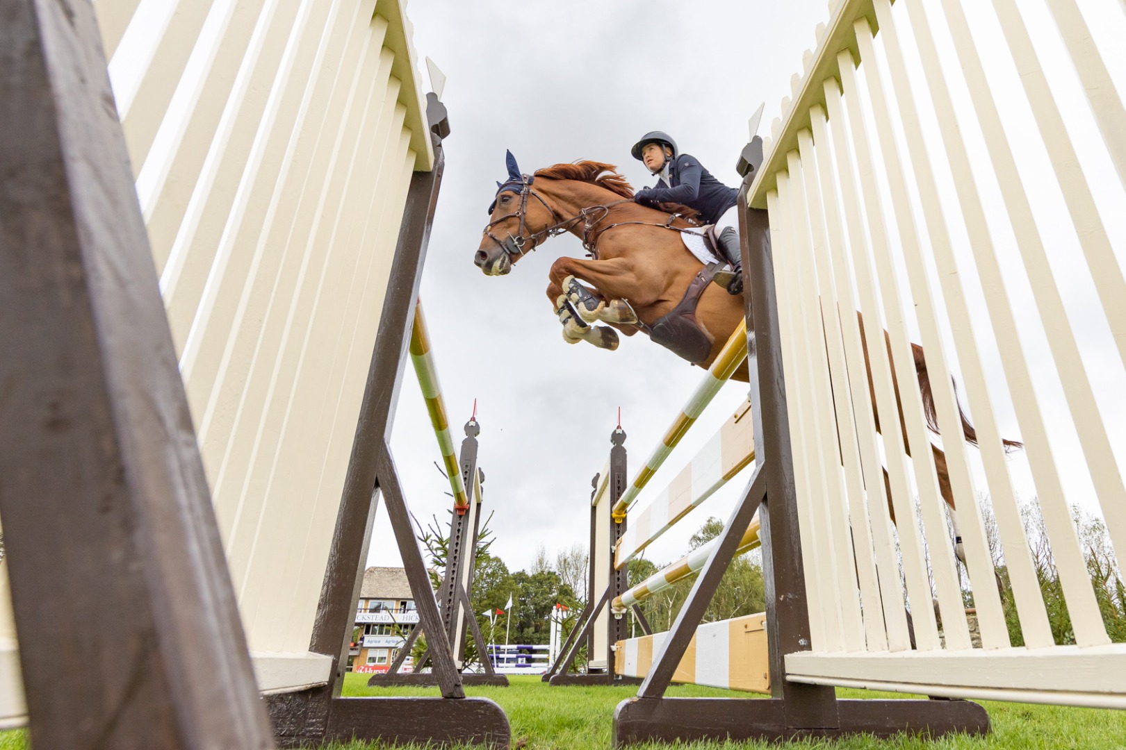The Breen Equestrian 1.40m Open - Friday